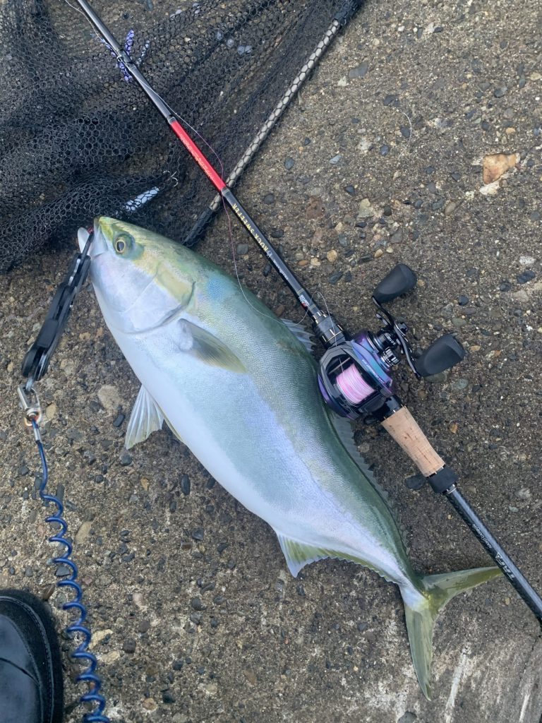 今欲しいもの 割とガチめのショアジギングタックル Enjoy Fishing