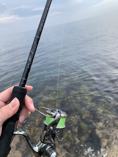 21 6 12 ロックフィッシュの合間にエギング 新潟の春イカは釣れるのか 新潟県 柏崎 Enjoy Fishing